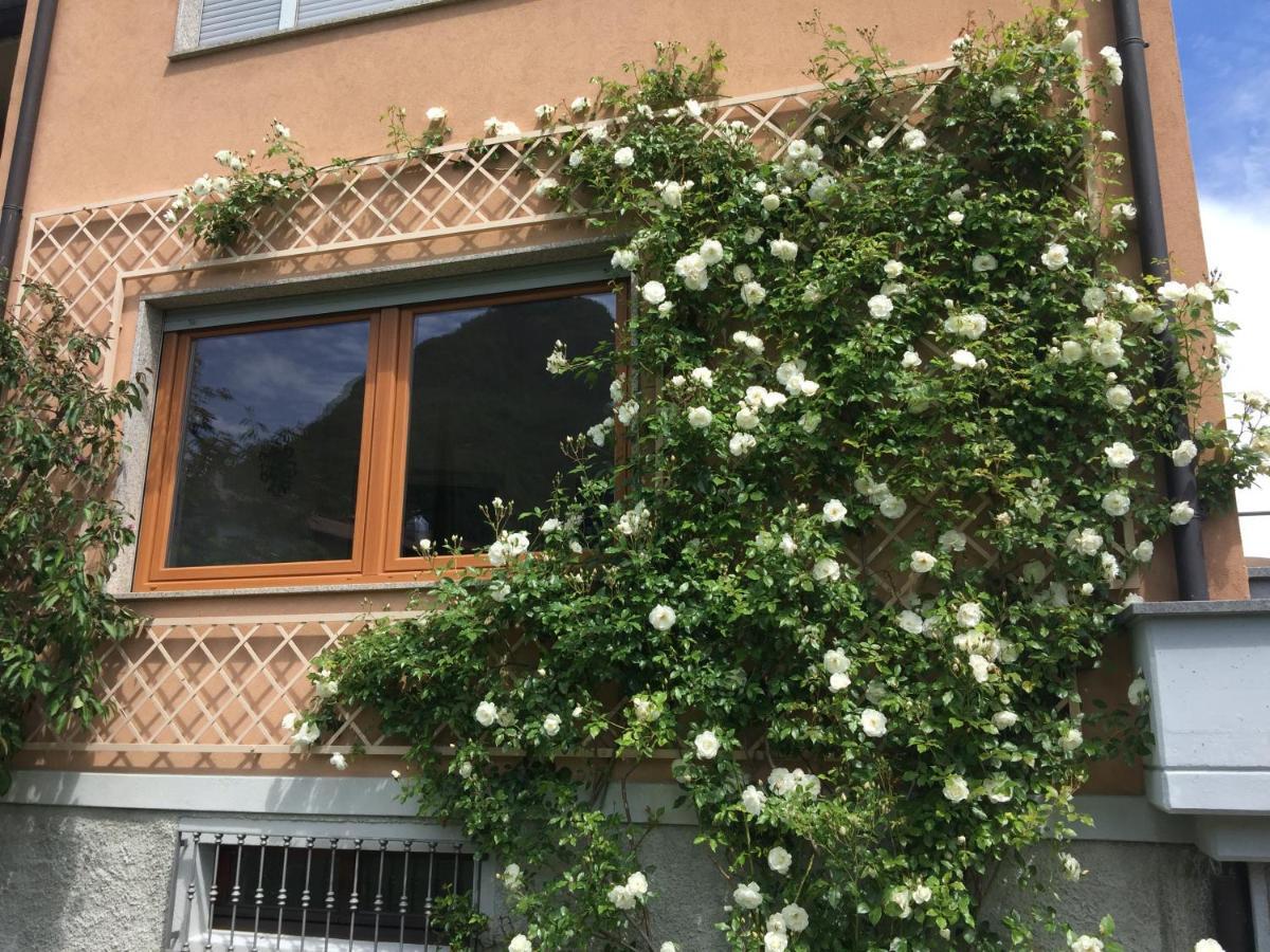 Vittoria Residence ドンゴ エクステリア 写真